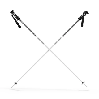 Sjezdové hole LUSTI Sport 110cm